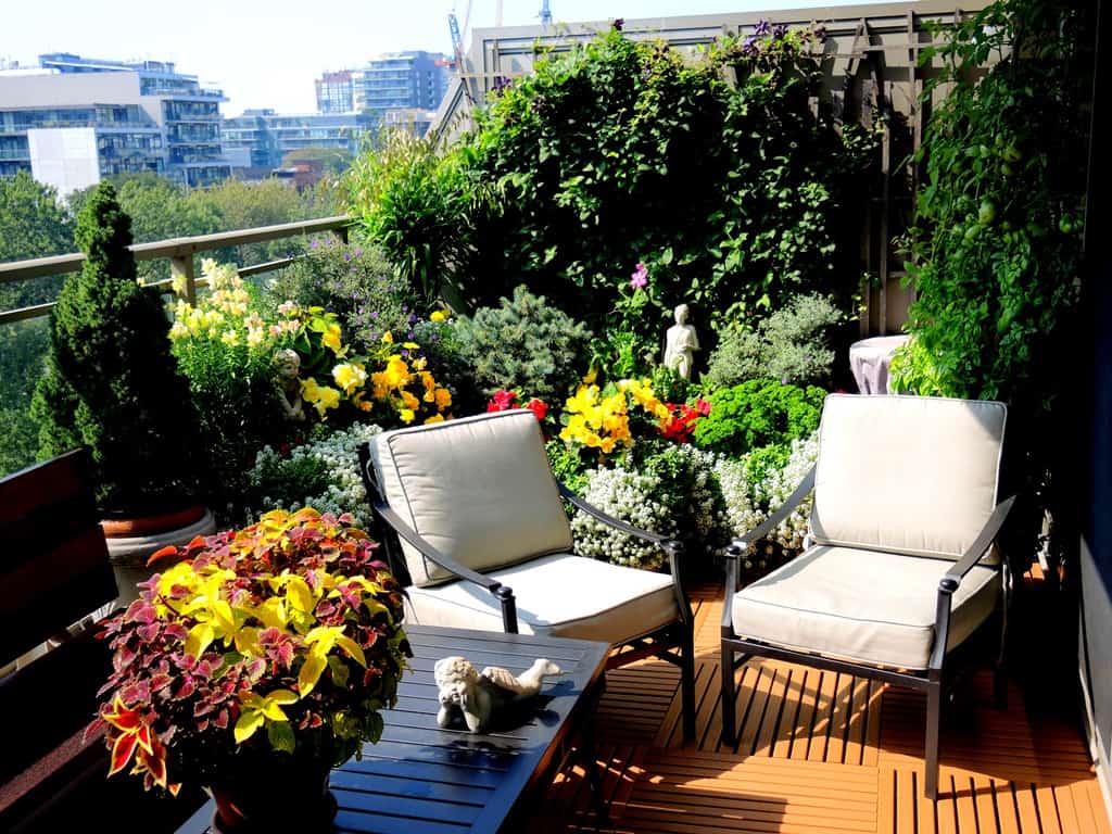 Balkon ve Bahçeler Bahar Geliyor!